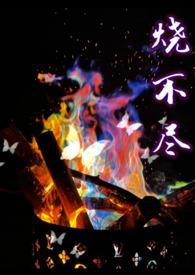 烧不尽全文