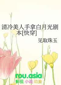 清冷美人的风月