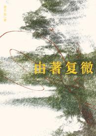 由著复微乱佳音txt百度