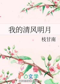 我的清风明月 枝甘南免费阅读