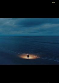 歌曲金色的月亮