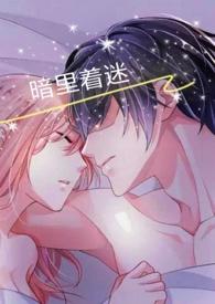 暗里着迷国语版叫什么