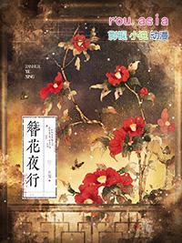 簪花夜行GL玄笺