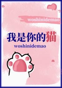 你是我的猫歌词
