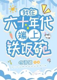我在六十年代当女主林婉正版