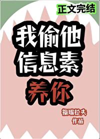 我偷他信息素养你免费全文阅读