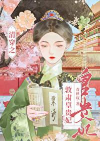清穿之哲皇贵妃26