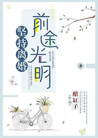 坚持离婚前途光明txt