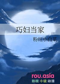 巧妇当家txt