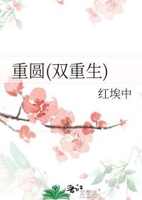 重圆双重生柳曦珠卫陵说的什么