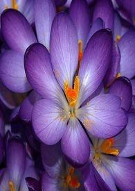 春梦了无痕的意思