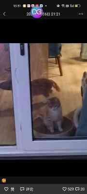 好友朋友圈两条线中间一个点