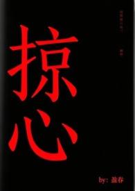 掠心之赏