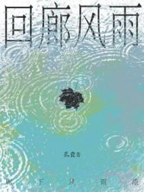 回廊风雨人未归结局