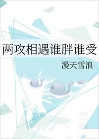 两攻相遇谁胖谁受作者漫天雪浪txt
