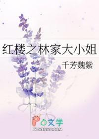 红楼之林家家主