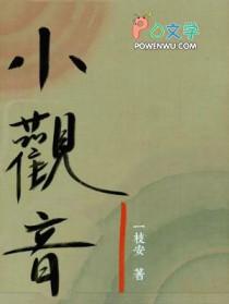 小观音by冉尔全本免费阅读讲的什么