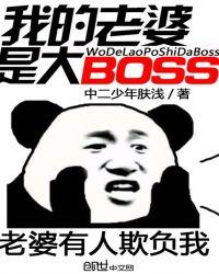 我的老婆是大佬3国语版_第10集