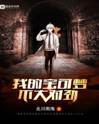 我的精灵宝可梦