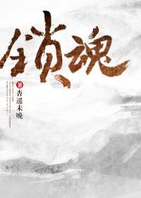 锁魂口路面平面图