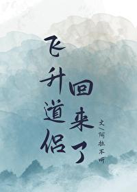 飞升以后百科