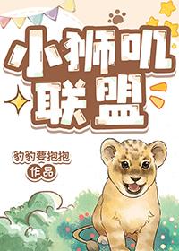 小狮科技有限公司