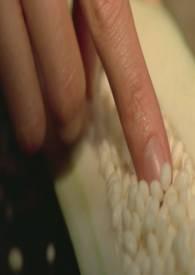 她们的名字电视剧免费播放完整版