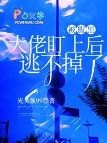 被腹黑御史盯上后