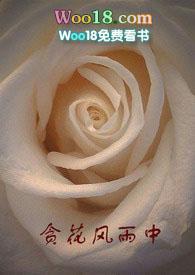 t贪花风雨中14章