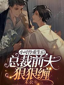 小可怜重生后总裁前夫狠狠缠