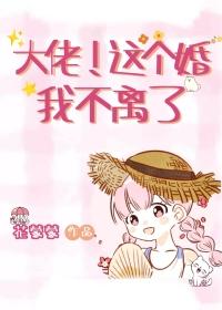 这个大佬过分宠妻免费阅读
