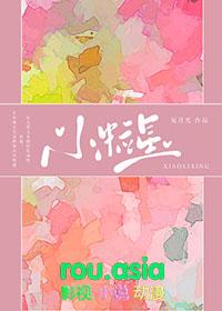 小粒星by笔趣阁