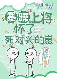 暴躁将军