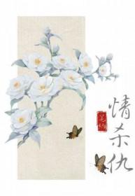 情杀仇by笔纳讲什么