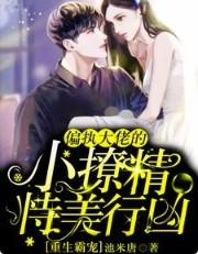重生霸宠偏执大佬的小撩精恃美行凶正版