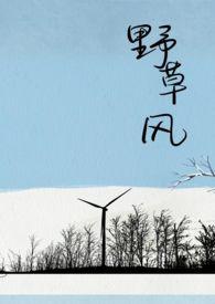 野草风长短剧所有插曲