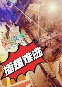 插翅难逃郭金凤