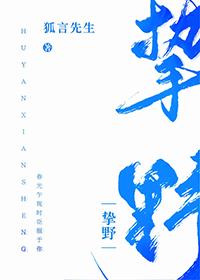 挚野 丁墨txt