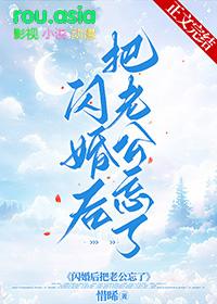 闪婚老公放弃宠