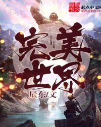 完美世界召开2025年业绩会