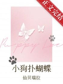 小狗扑蝴蝶仙贝瑞拉全文阅读