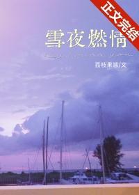 雪夜情人晋江