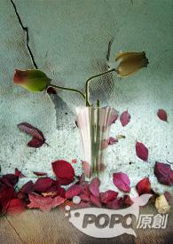 医生救救我季婷婷梁衍免费阅读