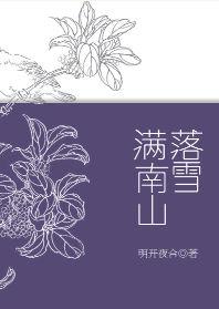 落雪满南山百度百科