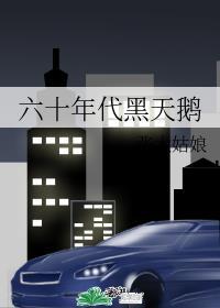 六十年代黑天鹅284