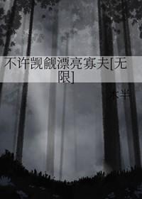 不许觊觎漂亮玩家[无限