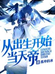 从出生开始无敌叶辰