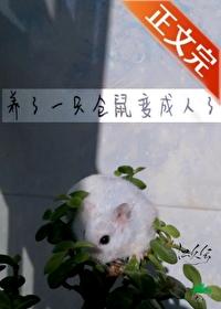 仓鼠变成老鼠了怎么办