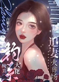 疯美钓系大佬追妻火葬场 作者白娘