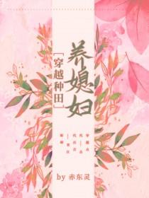 穿越之种田养媳妇